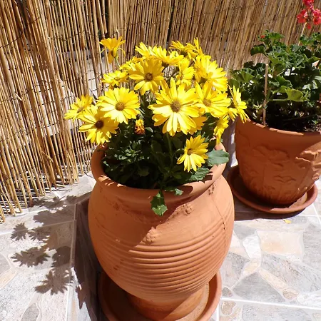 Apartman Reggina's Place